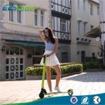 Eco Rider 5 inch electric balance scooter , two wheel electric kick scooter with