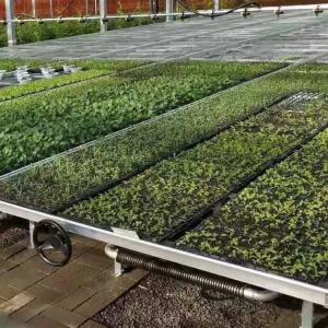 Wholesale Silver Custom Greenhouse Benches Movable Seedling Bed Rolling Breeding from china suppliers
