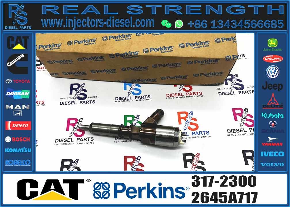 Cat 320d Diesel Inyector Common Rail Fuel Injector 3172300 317-2300 2645A717 for CATERPILLAR C6.4 C6.6 Excavator