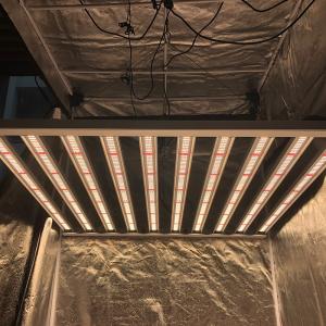Wholesale RedFarm Commerical DLC Listed 1200 Watt LED Grow Light For Cannabis from china suppliers