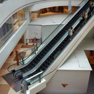 Wholesale Energy Efficient Escalator Lift 0.5 KWh Power Consumption 100 Passengers/Minute from china suppliers