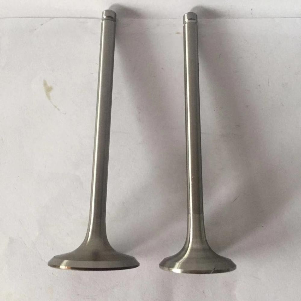 6DC 8DC 10DC Diesel Engine Valve For Mitsubishi 31104-00101 30601-01101