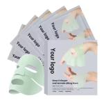 Customized Korean Bio Collagen Hyaluronic Acid Face Maskes Sheet Biodance