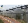 Buy cheap Agricultural Multi Span Strawberry Green House Plastic Shed Tomato Tunnel from wholesalers