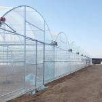 Customized Agricultural Plastic Film Multi-span Polyhouse Greenhouse