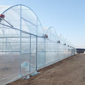 Wholesale Durable Custom Size Agricultural Poly Large Tunnel Film Multi-span Greenhouse from china suppliers