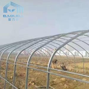 Wholesale Polyethylene Vegetable Tunnel Film Greenhouse Galvanized Single Span from china suppliers