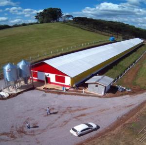 Wholesale Modern Design Steel Structure Broiler House Chicken Warehouse For Farmhouse from china suppliers
