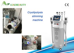 Wholesale CE approval fat freezing cryo lipolysis cryolipolysis cold body sculpting machine from china suppliers