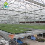 30*60mm Steel Mesh Commercial Greenhouse Tables Seedbed Nursery Rolling Benches
