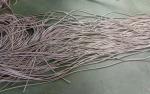 304 And 316 Stainless Steel Wire Protection Flexible Metal Conduit