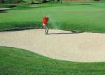 Green Artificial Turf Grass , Artificial Golf Turf Sports Lawn Long Lifetime