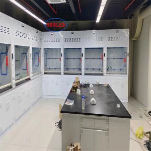 Wholesale Reliable Polypropylene Chemical Fume Hood Lab Stink Cupboard ≤60dB Noise 400m3/h Airflow from china suppliers