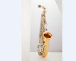 constansa brand Professional Tenor Saxophone JYAS-2000 Alto Saxophone GOOD ALTO