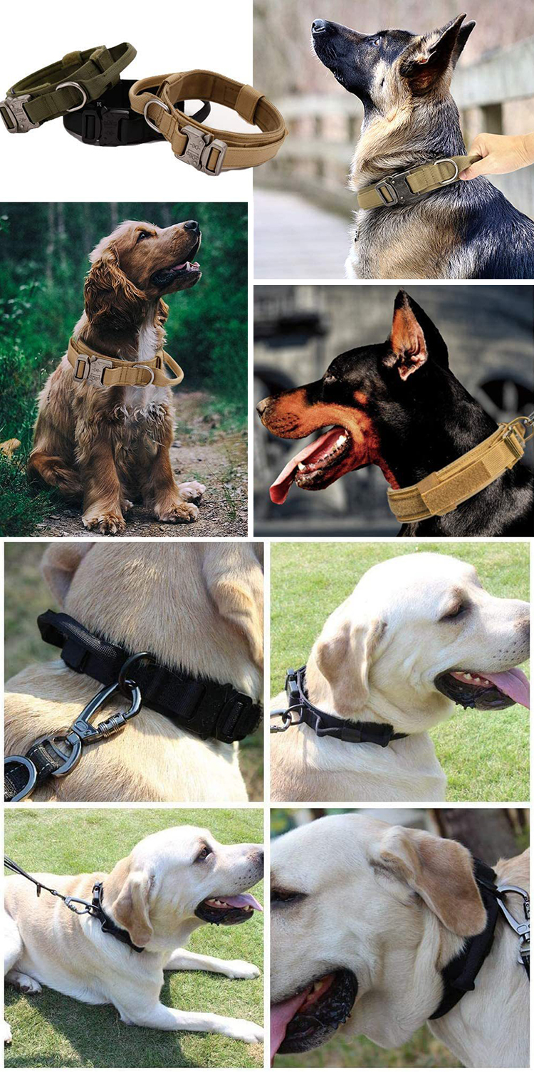 Rope Large Dog Collar Leash Set Personalized Tactical Leash And Collar