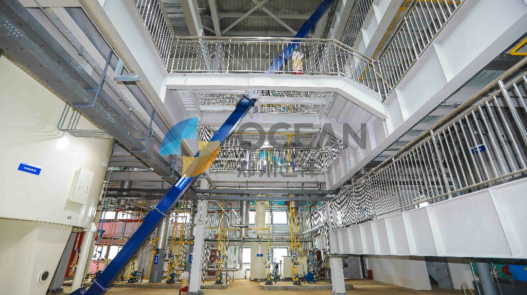 Fully Automatic Chemical Refinery Plant Extruded Cooking Oil Refinery Plant