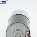 12V 24V PMDC Brushless DC Spur Gear Motor 3500rpm High Torque