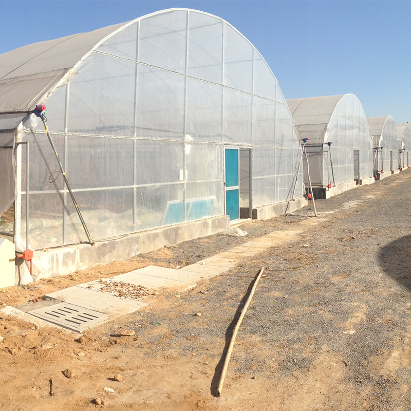 Easy To Install Agricultural Greenhouses for Growing Flowers Vegetables and Fruits