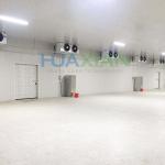 Walk in Freezer Chiller/Cool/Industrial Modular Container/Cold Storage Room
