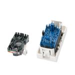 Exact Cables 45*22.5 French Face Plate UTP CAT6 Single Keystone Jack at Category