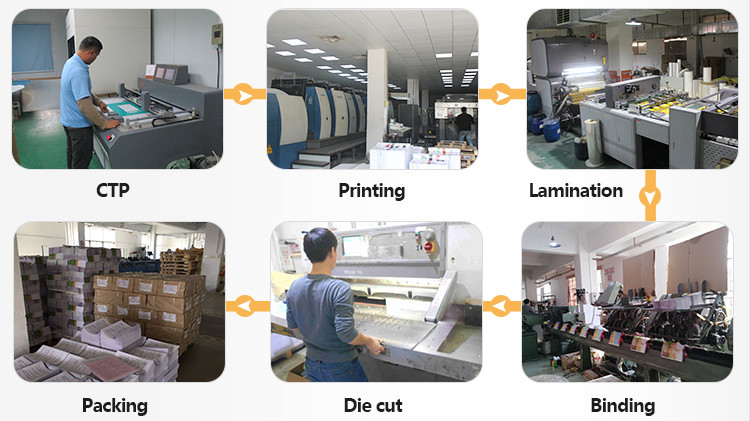 A5 A3 Catalogue Brochure Printing Services Offset With Matte Lamination