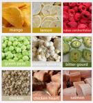 Fruit And Vegetable Vacuum Freeze Dryer Machine With 21 Square Meters Pallet