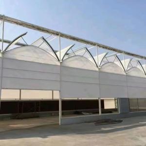 Wholesale Tomato/Strawberry/Lettuce Multi-Span Commercial Greenhouse with Plastic Film Cover from china suppliers