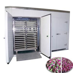Wholesale Large Capacity Pharmaceutical Dryer Dried Rose Dehydrator Machine Hot Air Circulation from china suppliers