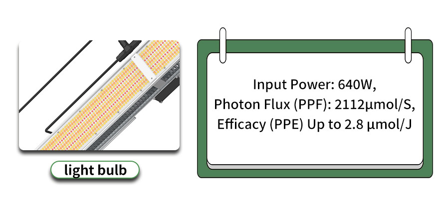 640W LED Toplighting Grow Light High Value High Efficacy Greenhouse Supplemental Lighting HPS Replacement