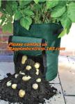 Horticulture, NURSERY, PLANTER, SEED, PLASTIC GROW BAGS, HYDROPONICS, FLOWERPOTS