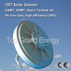 Wholesale TGET260-0.1KW-130R Coreless PMG generator/wind alternator three phase from china suppliers