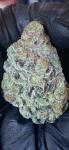 Full Spectrum ETL 365nm indoor led grow light