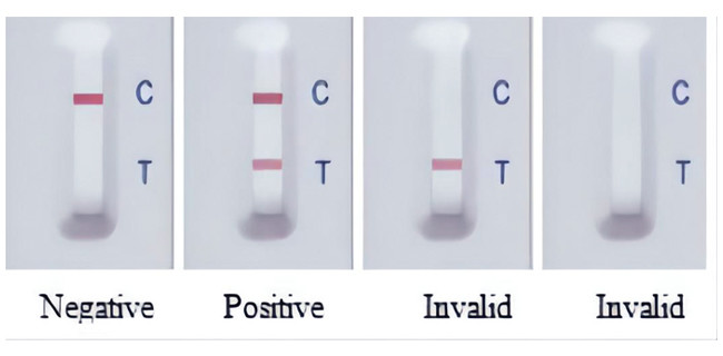 Virus PRV GB GE Swine Influenza Antibody Rapid Test Kit 50 Tests/Kit