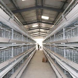 Wholesale 3 / 4 / 5 Tiers Layer Poultry Farm Cage , Custom Power Battery Hen Cages from china suppliers