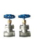 High Reliable Cryogenic Globe Gate Valve Short Stem SS304 SS316 Rustproof