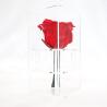 Buy cheap Decorative Beautiful Preserved Rose Flower With No Pollen / No Allergy from wholesalers