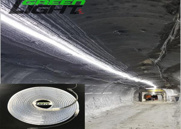 Multi-color High Brightness Led Strip Lights Waterproof 36Volt SMD5050 Cool