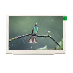 Wholesale Industrial IPS 5 inch 800x480 1000nits RGB Interface Wide Temperature LCD Display High Brightness Display Solutions from china suppliers