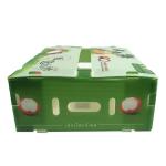 Customizable Vegetable Corrugated Boxes for Your Business Needs