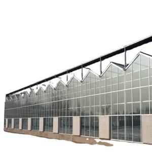 Wholesale Large Glass Greenhouse Mushroom Aeroponic Tower Garden for Eco Restaurant Instruction from china suppliers