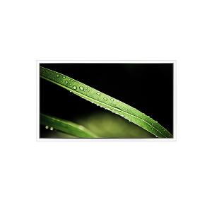 Wholesale 3840*2160 65inch DV650QUM-NV0 500 cd/m2 LCD Screen for Video Wall from china suppliers