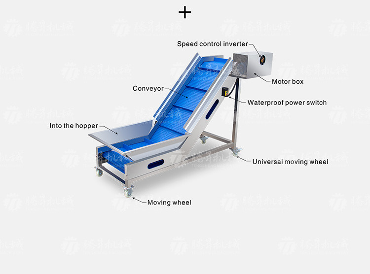 Fruit And Vegetable Wool Roller Bubble Cleaning Machine 1500KG/H