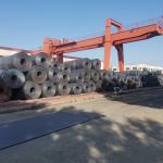 1200mm Width Hot Rolled Steel Coil Customizable Q195 Q235 Q355 A36