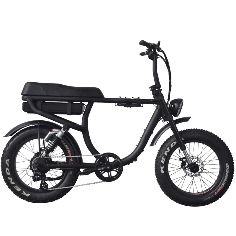 Rear Carrier Battery Electric Moped Utility E-Bikes for Work 48v 500w Full Suspension