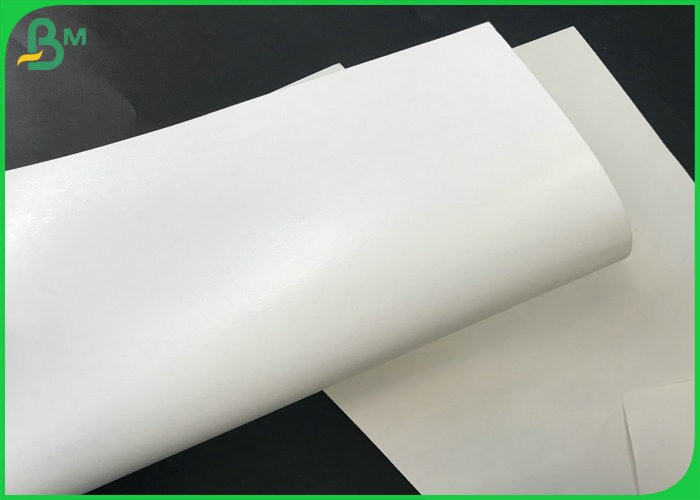 Good Heat Resistance 150gsm - 300gsm Food Grade PE Coated Board For Lunch Box