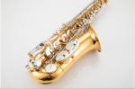 Saxophone Alto, Professional Saxophone , Saxophone Manufacturer Instruments