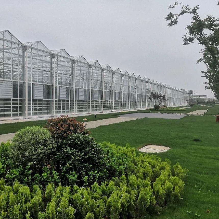 Shading Screen Glass Greenhouse Hydroponic System