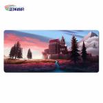 24"X72" Natural Rubber Backed Door Rugs Anti Slip 4mm Printed Plastic Door