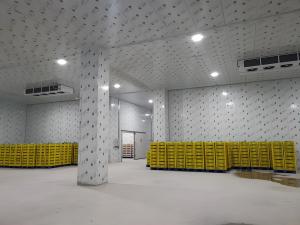 Wholesale Energy Saving Mobile Cold Storage System Stainless Steel Commercial Cold Storage Room from china suppliers