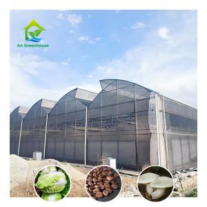 Wholesale Durable Polycarbonate Construction for Extreme Weather Resistance in Light Deprivation Greenhouse from china suppliers